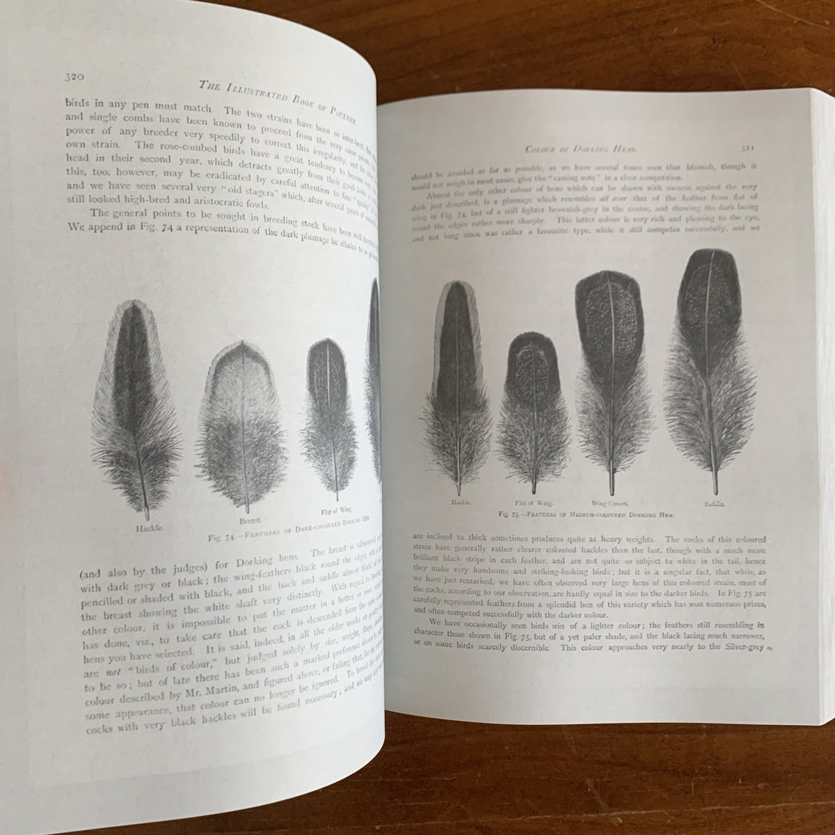 The Illustrated Book of Poultry (1890): Lewis Wright