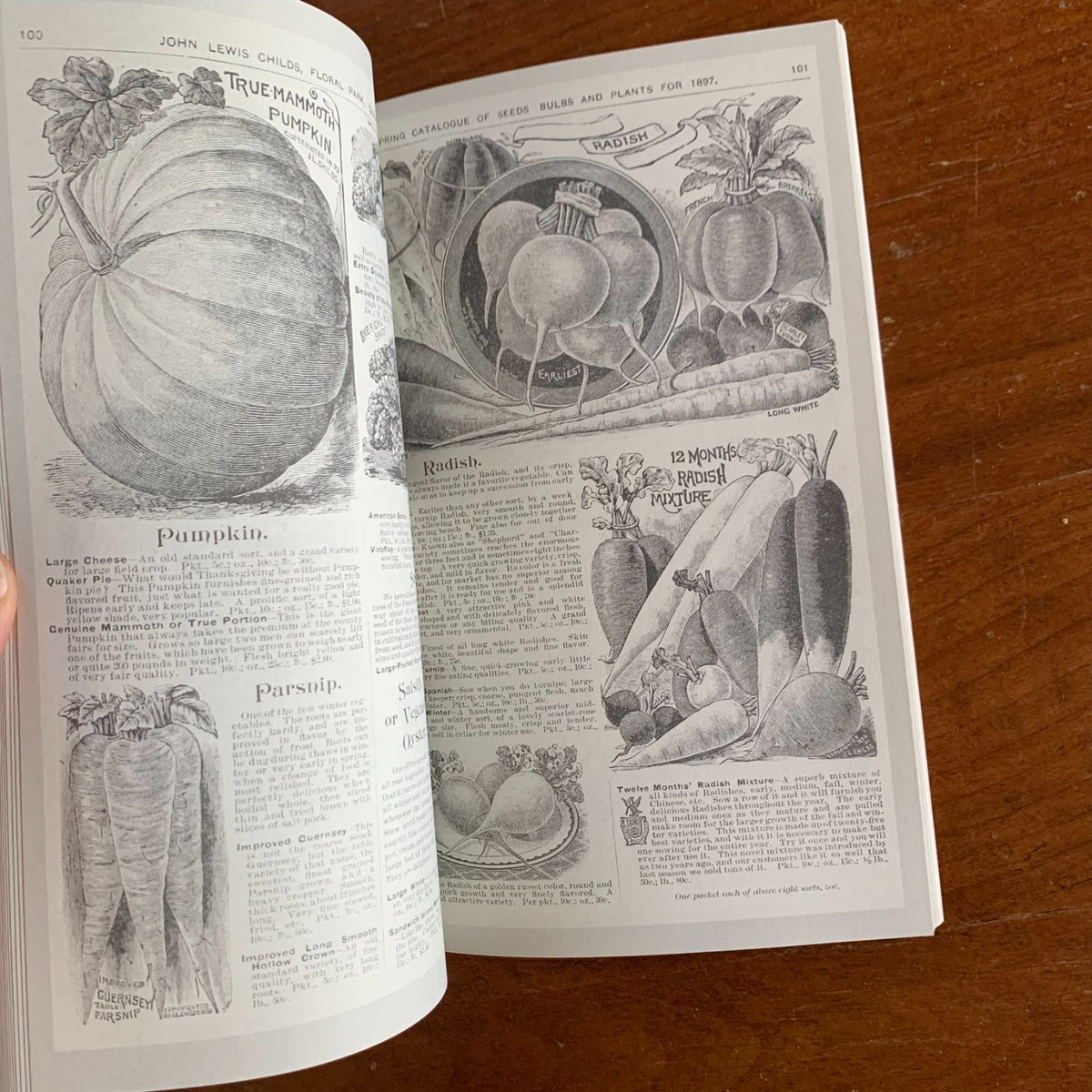 1897 Childs' Rare Flowers, Vegetables and Fruits