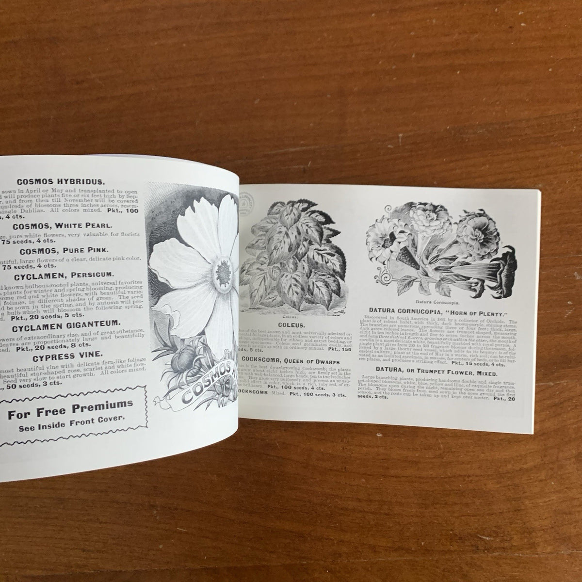 1899 Flower Seeds Miss C.H. Lippincott's Illustrated Seed Catalog